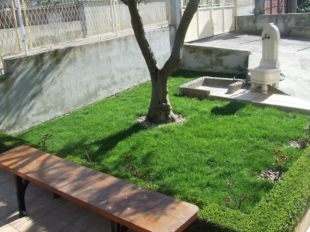 Singa * Zadar
