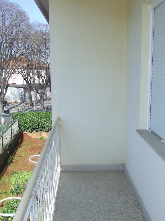 Singa * Zadar