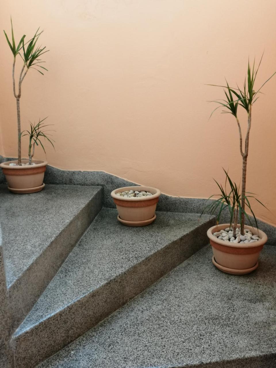Apartment Singa